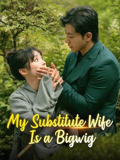 My Substitute Wife Is a Bigwig poster