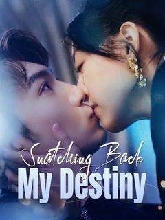 Snatching Back My Destiny poster